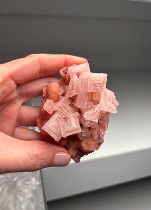 9 Piece Lot ! High Grade Pink Halite from Searles Lake, California