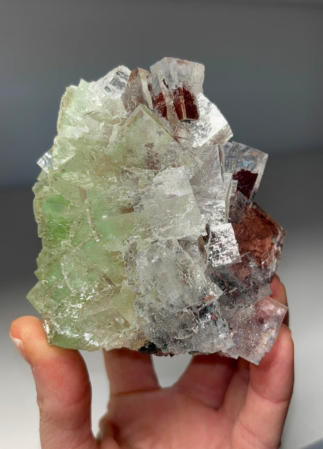 Multicolor Gemmy Halite Specimen