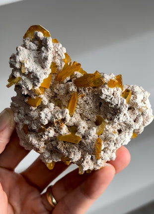 New find ! Orange Wulfenite Collection # 798