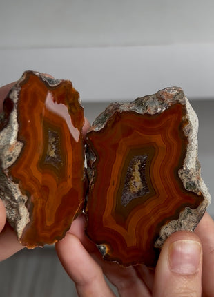 Condor Agate Pair from Argentina PM0885