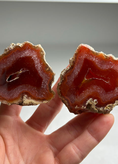 New ! Black Sea Agate Pair