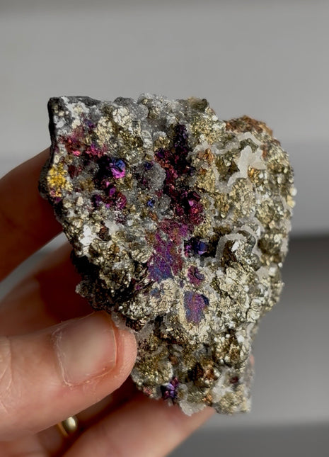 Chalcopyrite with Pyrite from Sweetwater mine PM0263