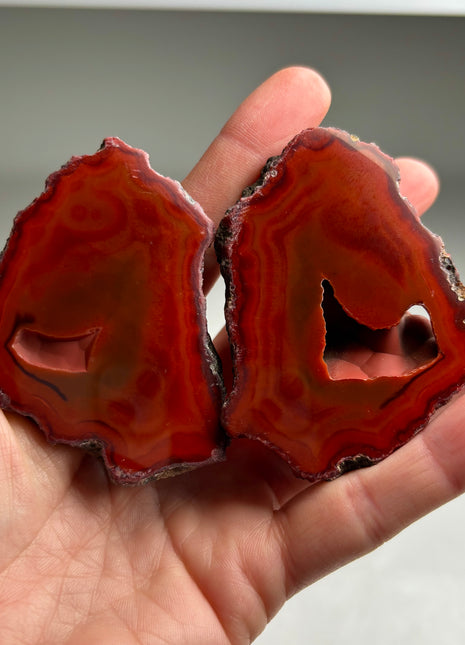 New ! Black Sea Agate Pair