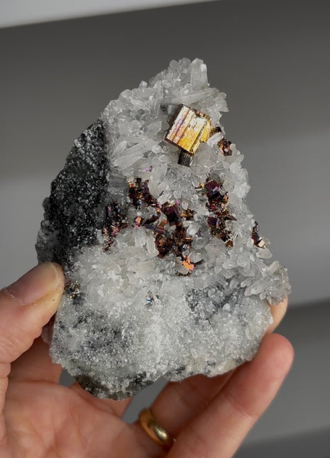 Rainbow Pyrite with Quartz 🌈