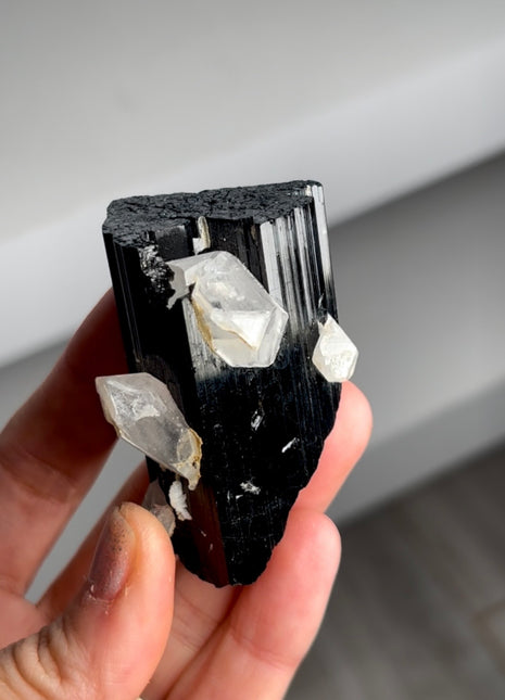 Black Tourmaline with Quartz