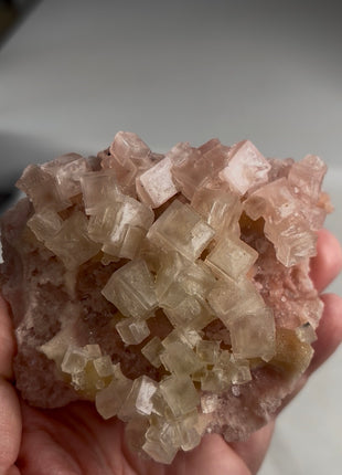 Rare ! Pink Green Bicolor Halite