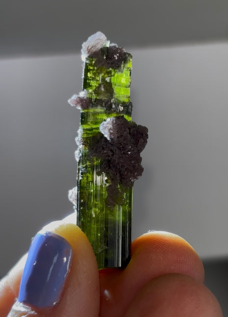 New ! Green Tourmaline with Lepidolite