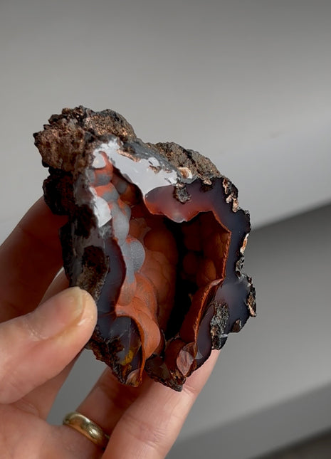 Red Fox Agate Geode from Argentina