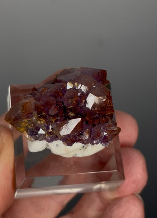 Red Amethyst Flower - From Thunder Bay, Canada