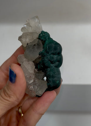 Velvety Malachite with Quartz PM1495