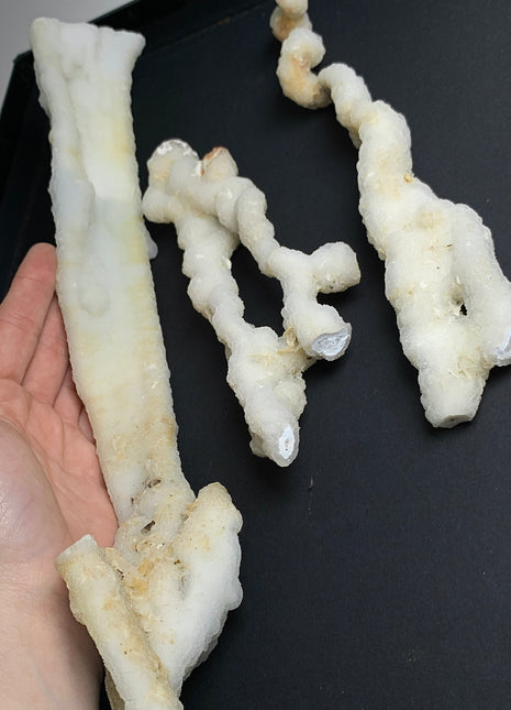 New ! White Coral Chalcedony Stalactite Lot - 3 pieces !