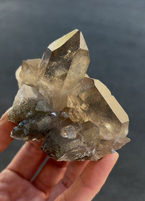 Glittery Smoky Quartz - From Chamonix