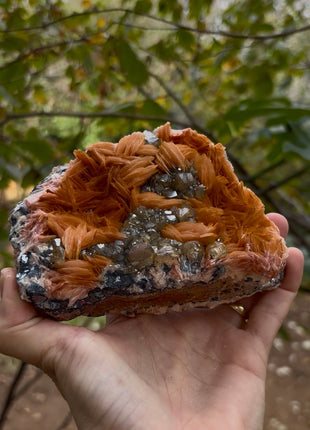 Orange Barite with Cerussite Collection # 688