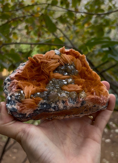 Orange Barite with Cerussite Collection # 688