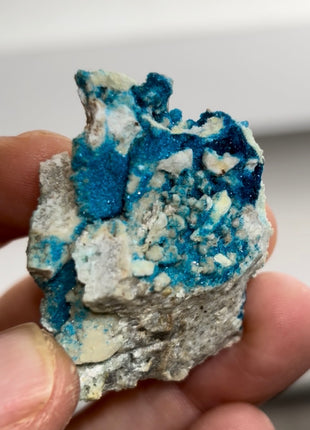 New Arrival ! Blue Veszelyite Specimen PM0385