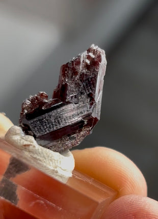 Red Rutile from Diamantina mine, 1990s find PM0855