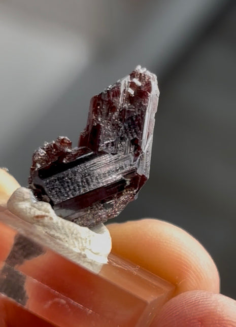 Red Rutile from Diamantina mine, 1990s find PM0855