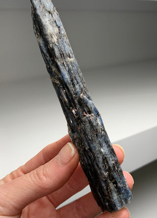 XL ! Rich Blue Kyanite with Mica - From Zambia - 7 Pieces