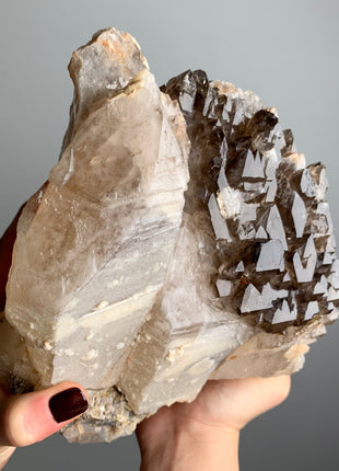 Wow !! Elestial Smoky Quartz with Terminated White Quartz - From Namibia 🔥🔥 *