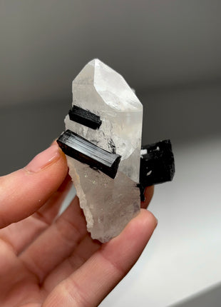 Black Tourmaline with Quartz