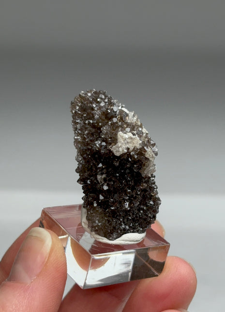 Rare Black Herkimer from New York