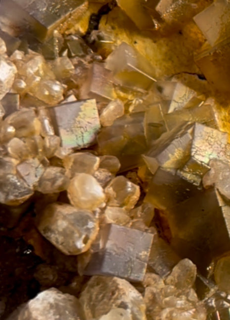 Rare ! Rainbow Fluorite with Golden Calcite PM0770 🌈