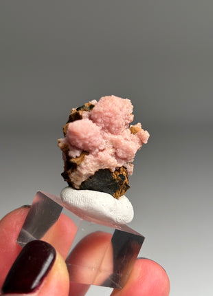 Pink Rhodocrosite - From Potosi mine