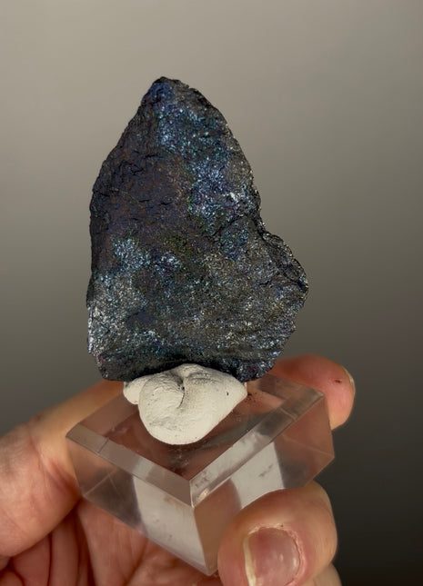 Rare Covellite from Montana Special Price 💥