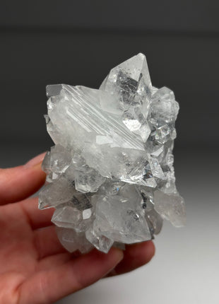 Top ! Gemmy Apophyllite with Flower with DT Crystals