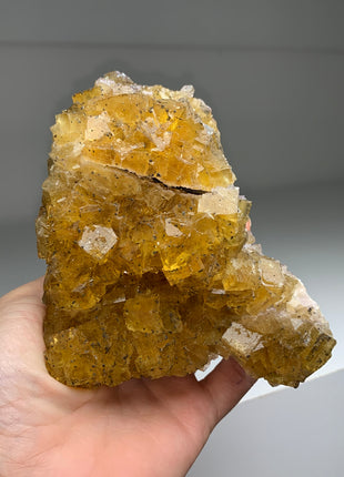 Cubic Yellow Fluorite with Pyrite - From Spain