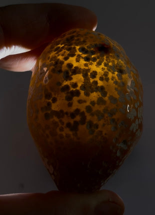 Rare Enhydro Agate PM1013