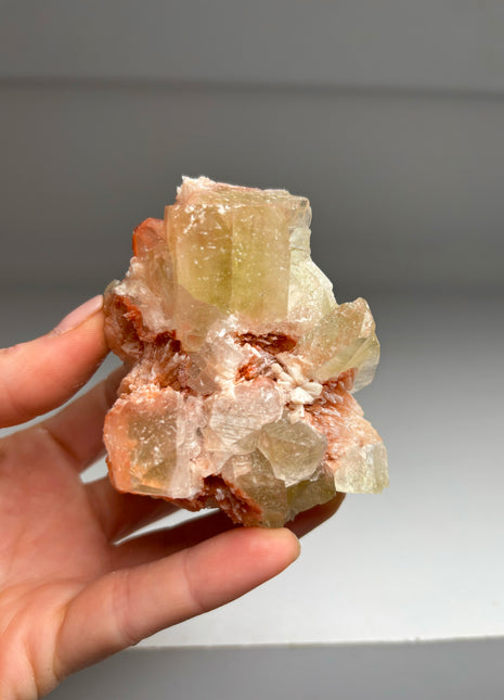 Green Apophyllite with Pink Scolecite