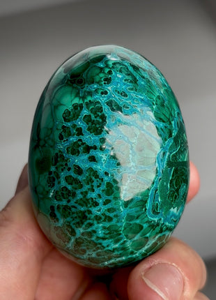Green Malachite with Chrysocolla Egg from Congo PM1168