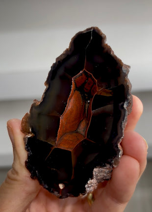 Red Fox Agate Geode from Argentina