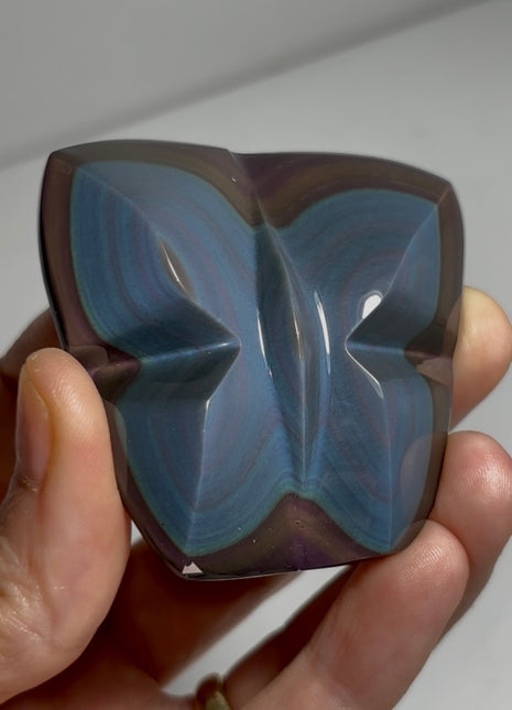 Rainbow Obsidian Butterfly 🦋 PM0530