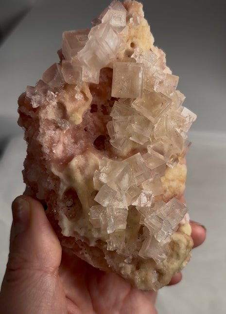 Rare ! Pink Green Bicolor Halite with Trona