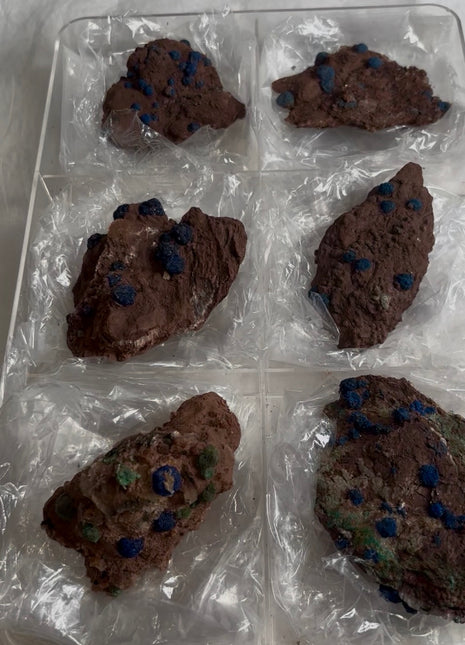 6 Piece Lot ! Rare Blueberry Azurite with Gypsum Specimens