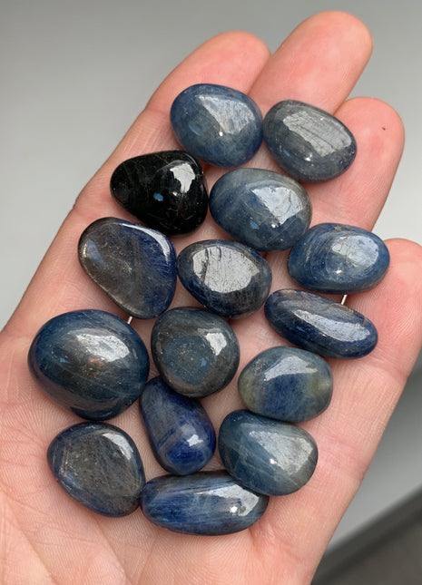 15 Pieces ! Beautiful Blue Sapphire Lot - 290 Carats