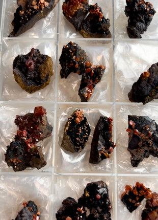 17 Piece Lot ! Black Goethite with Red Vanadinite