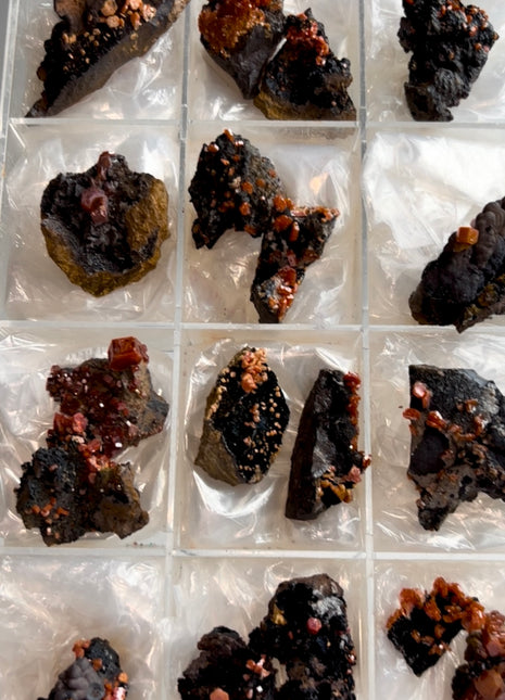 17 Piece Lot ! Black Goethite with Red Vanadinite