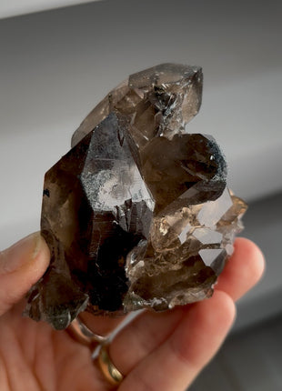 Alpine Smoky Quartz with Hematite Collection # 843
