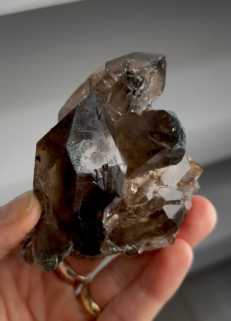 Alpine Smoky Quartz with Hematite Collection # 843