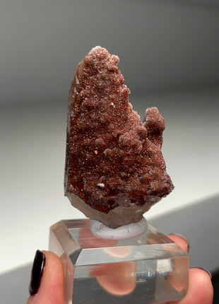 Red Chocolate Quartz