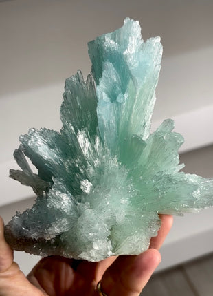 Blue Aragonite Flower Collection # 796
