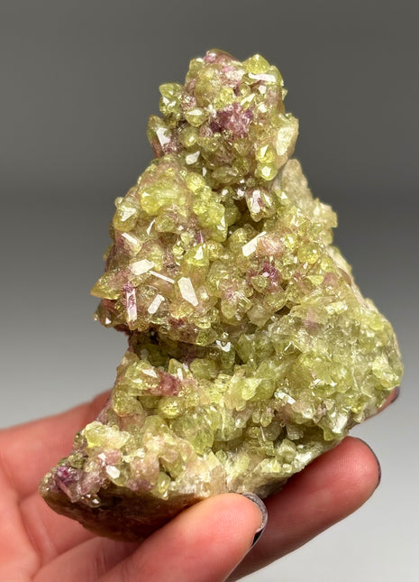 Pink Green Vesuvianite from Jeffrey mine Collection # 252 *