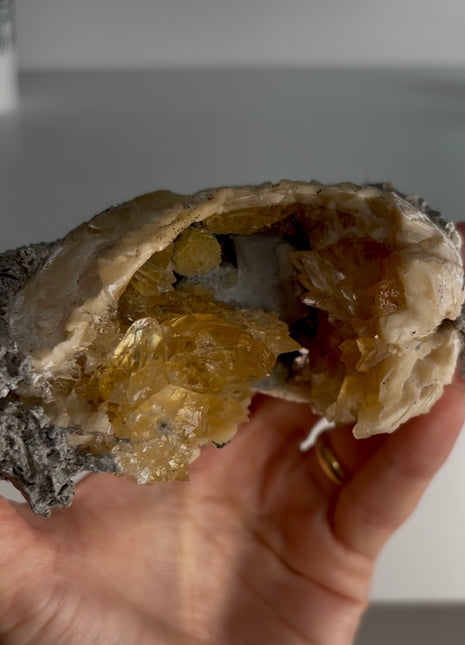 Clam Fossil with Gemmy Golden Calcite - Ruck’s Pit, Florida PM303