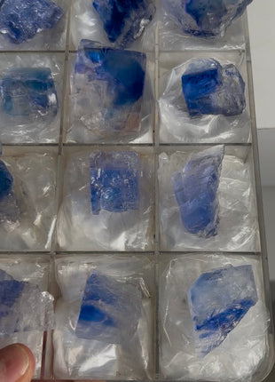 Blue Halite Specimens lot - 12 Pieces !