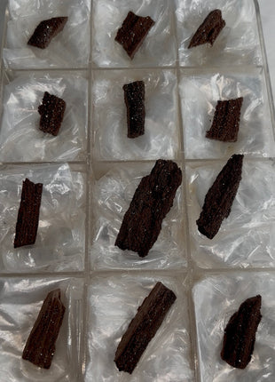 12 Pieces ! Permineralized Fossil Wood Fairy Wood Lot
