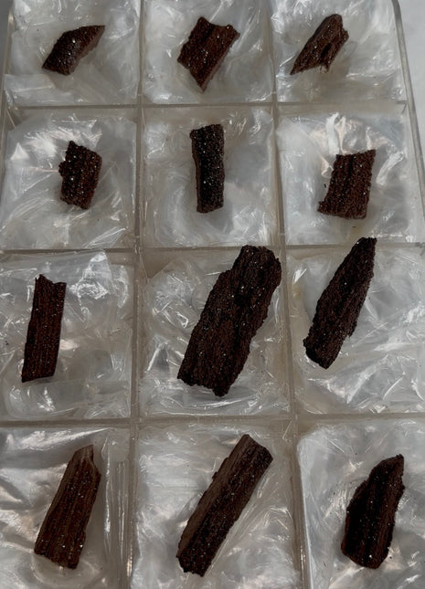 12 Pieces ! Permineralized Fossil Wood Fairy Wood Lot