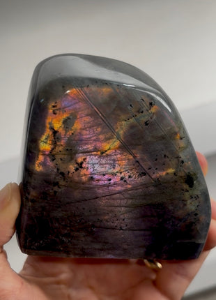 Incredibly Colorful Labradorite PM0560